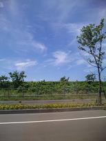 20090720-hokkaido.JPG