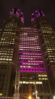 20091016-pink.JPG