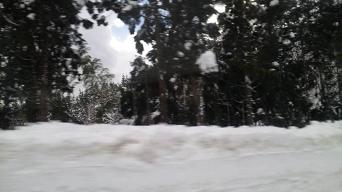 20100118-snow.JPG