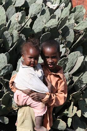 20100502-somaliaborthers1.JPG