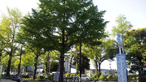 20100506-yokohamagreen.JPG